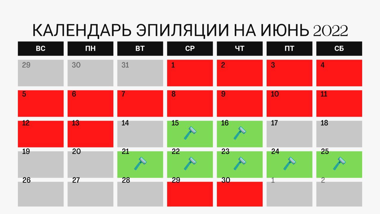 Календарь Стрижек Август 22