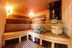 vylla-elena-sauna