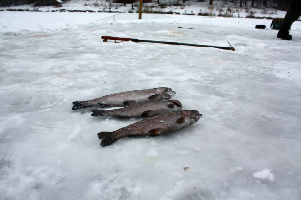 Зимняя рыбалка на озере Михайлина под Киевом