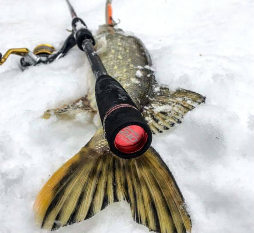 Взимку на «Білих каменях» в Києві можна порибалити на щуку, форель і карася
