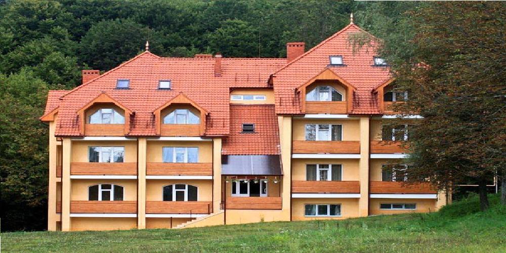Отель «Гортензия»