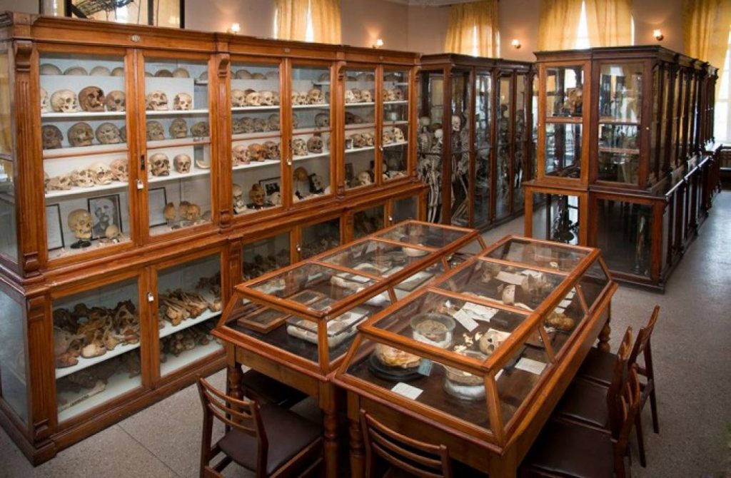 Зал музею анатомії людини в Одесі.