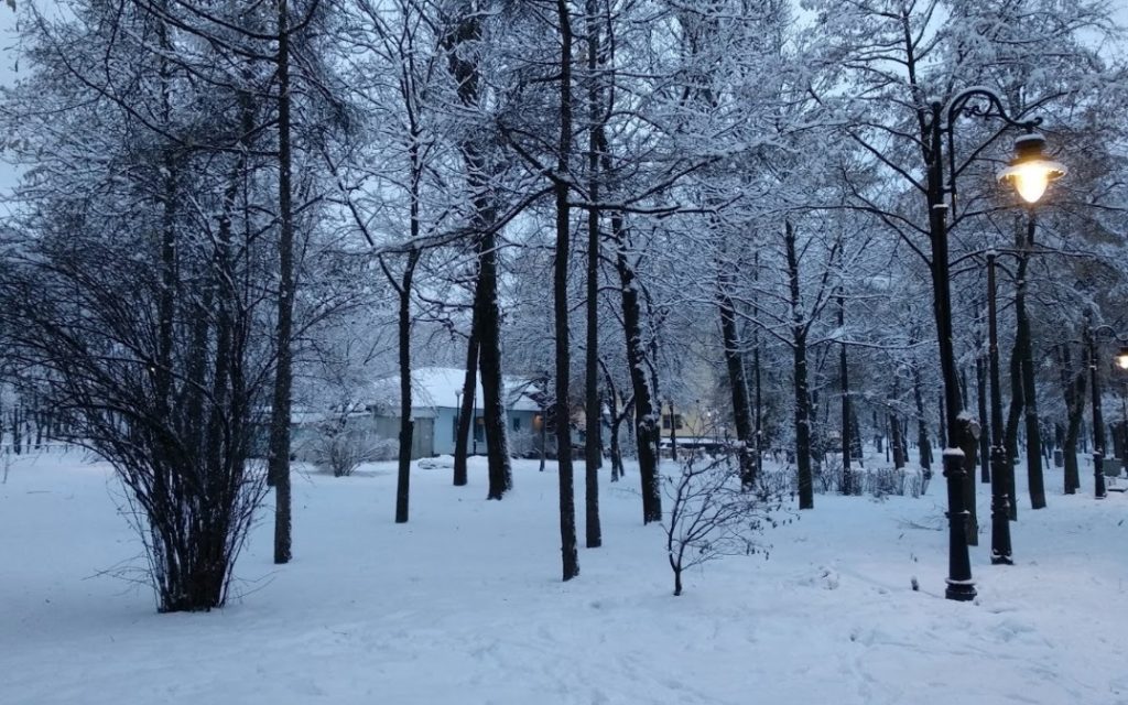 Куреневский парк