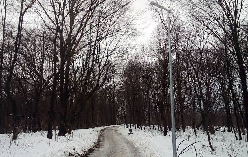 Сырецкий гай
