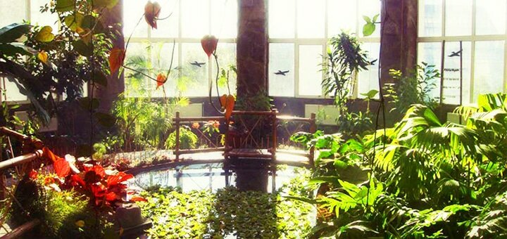 Выставка растений «Эдемский сад»