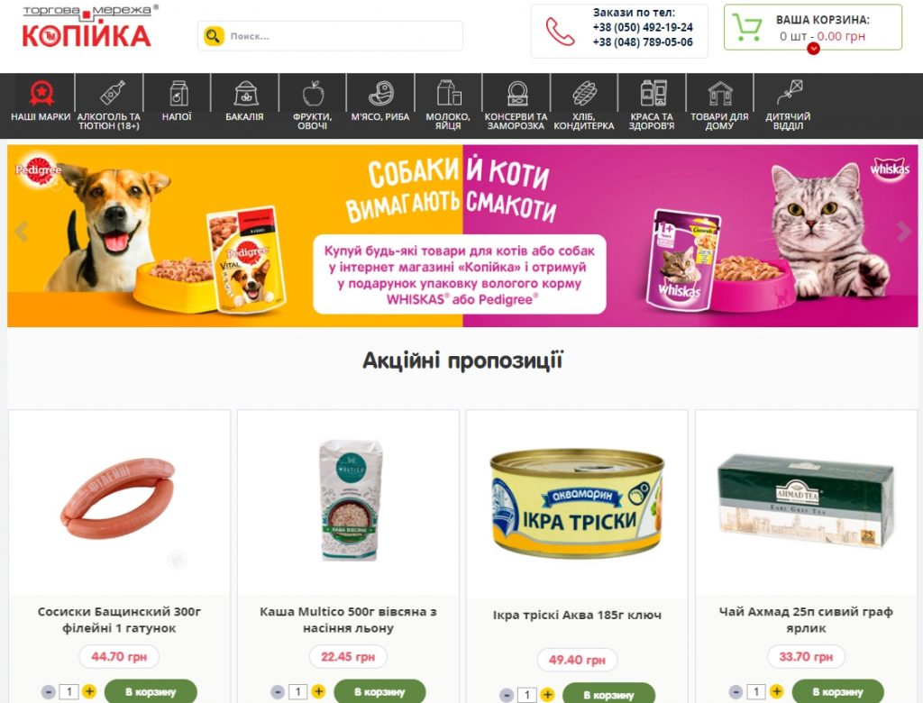 Копейка