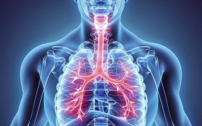 Захворювання органів дихальної системи
