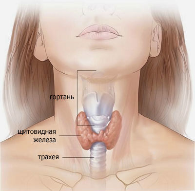 Збільшена щитовидна залоза