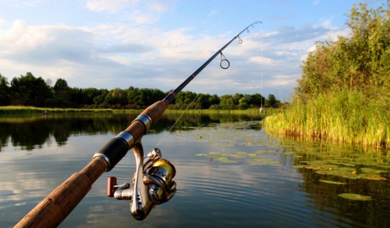 Рыбалка в Харькове