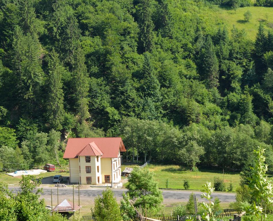Лесной в Межгорье