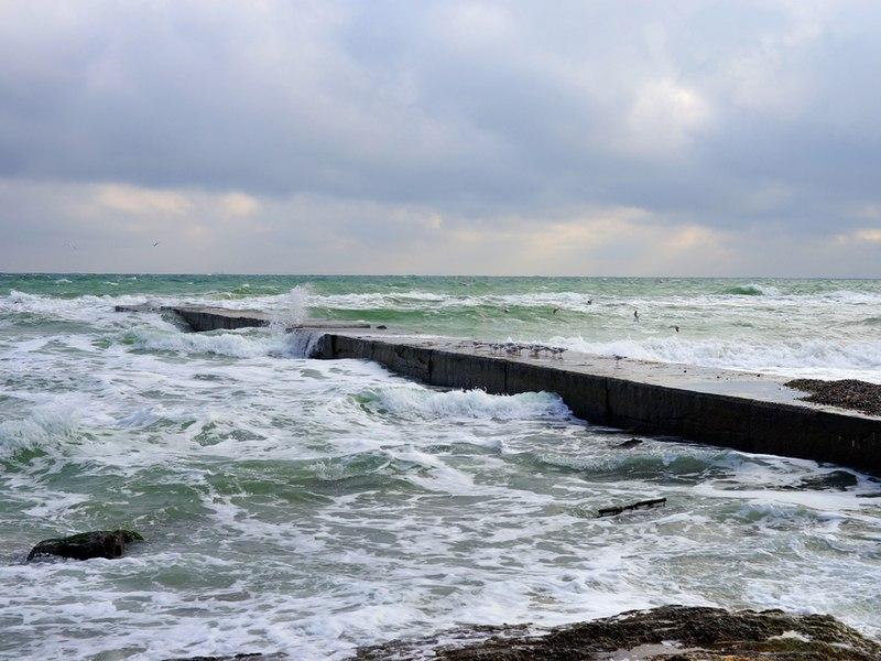 Море Одеси в листопаді
