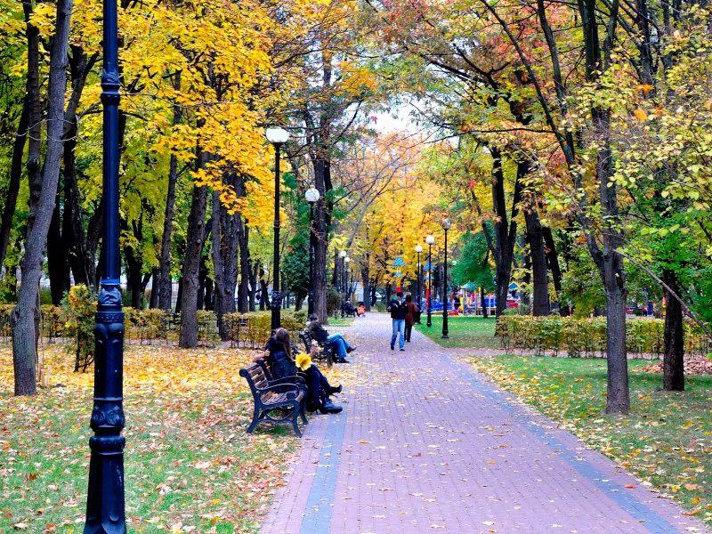 Парк имени Пушкина в Киеве – для прогулок и отдыха с детьми