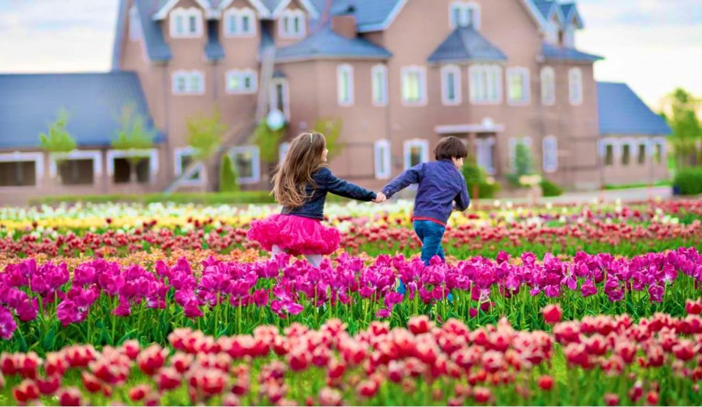 добропарк под киевом адрес. dobropark. добропарк под киевом адрес фото. добропарк под киевом адрес-dobropark. картинка добропарк под киевом адрес. картинка dobropark.