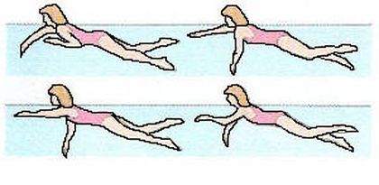 Схема плавания  «по-собачьи» 