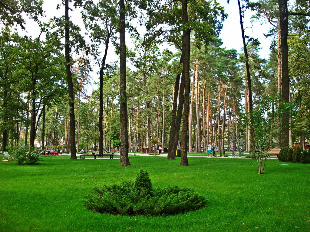 Парк в Ірпені – відмінне місце для виїзної фотосесії