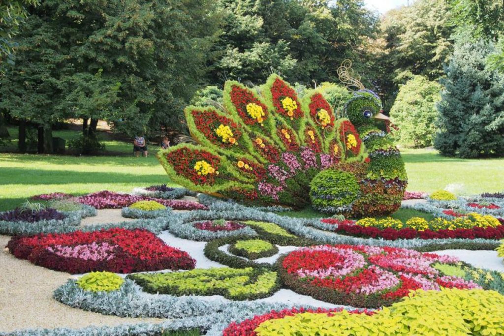 Один из цветочных пейзажей комплекса «Спивоче поле»  