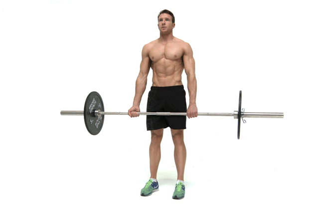 Становая тяга включает в работу мышцы спины, ног, мышц пресса и шеи. 