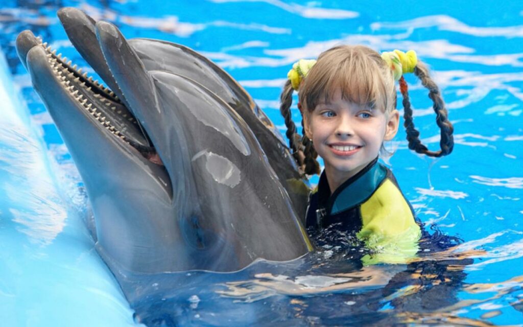детский день рождения в дельфинарии
