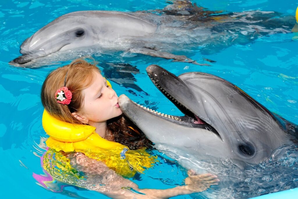 Праздник в дельфинарии 