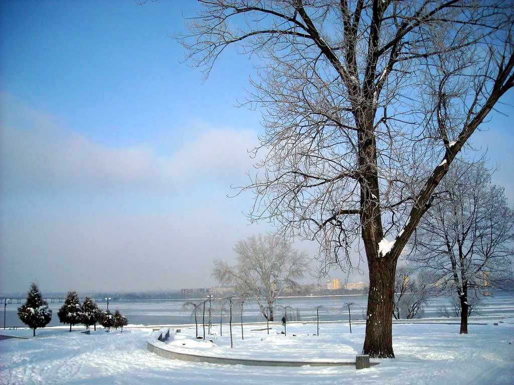 Парк Тараса Шевченка взимку
