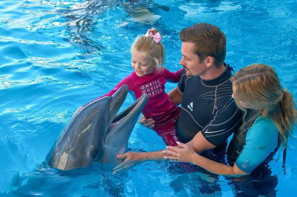 Сходить с ребенком в дельфинарий «Немо» в Одессе