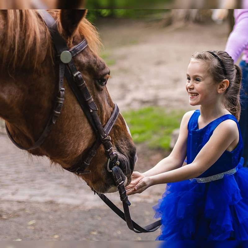 З дитиною можна піти покататися на конях у Києві