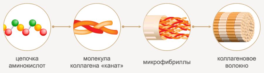Структура білка