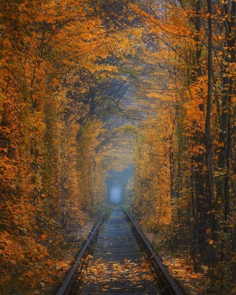 тунель кохання у клевані восени