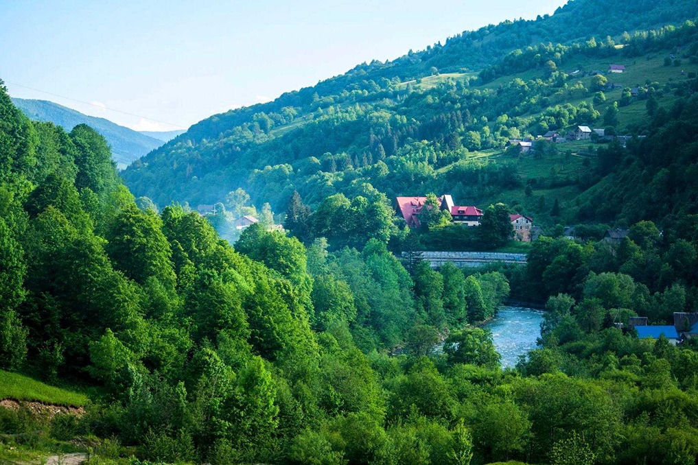 Куда лучше поехать отдыхать в июне – курорт Квасы в Закарпатье