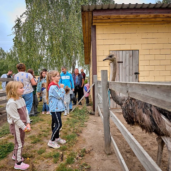 Страусиная ферма, Киевская область