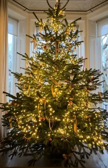 Нарядить елку как у Бекхэм